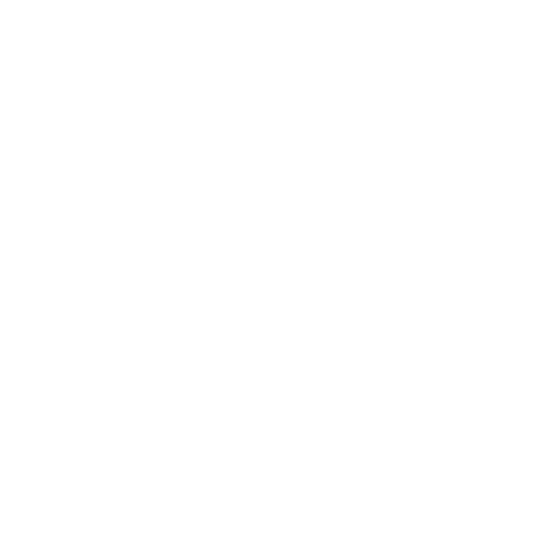 Delivery Icon