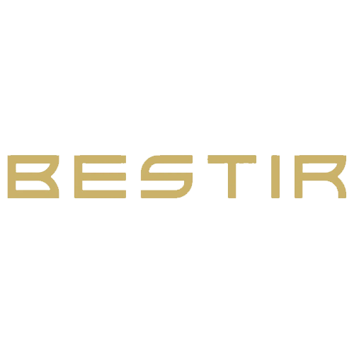 Bestir Logo 500X500