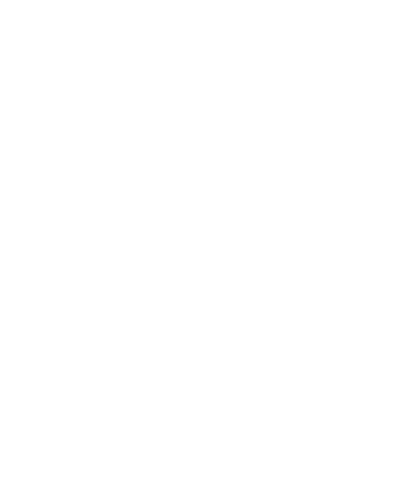 PDF Download Icon