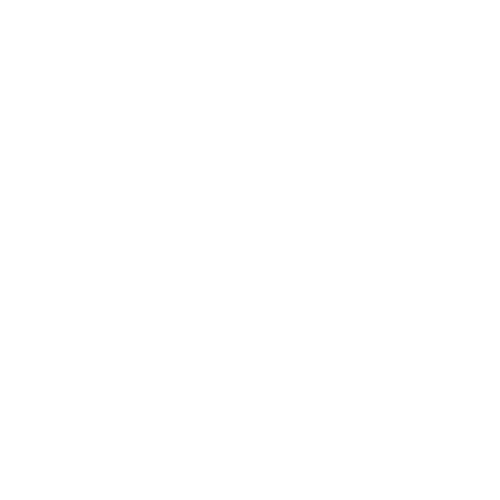 Dual Steam Wands