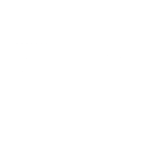 Erganomic Portafilters